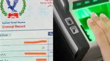 الفيش الجنائي 2025 يصدر إلكترونيًا برسوم تبدأ من 70 جنيهًا لتسريع إجراءات التوظيف والأمن